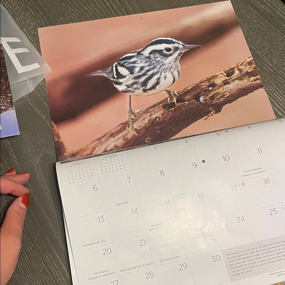2026 Calendar - Protecting Birds and Nature